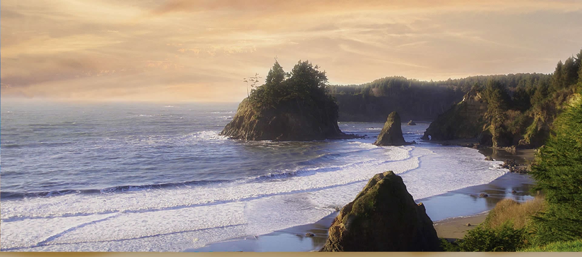 Northern California Redwood coast ocean view